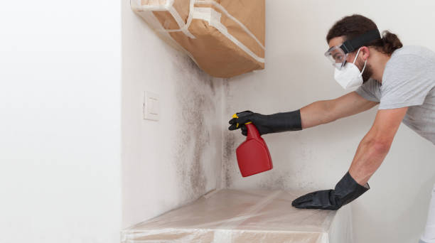 Professional Mold Inspection And Testing technician working in Braintree, MA